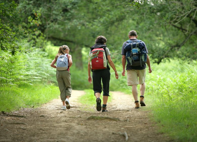 Marche pour le Téléthon