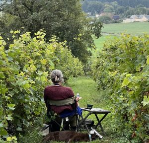 Peindre sur le motif : les vignes
