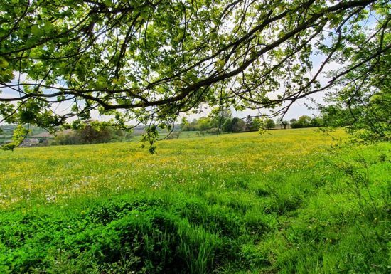 BOUCLE – CIRCUIT DES VIGNES – ROUILLON