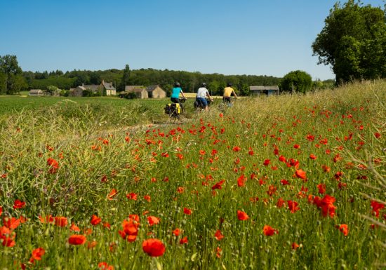 La Vélobuissonnière : La Suze-sur-Sarthe < > La Flèche