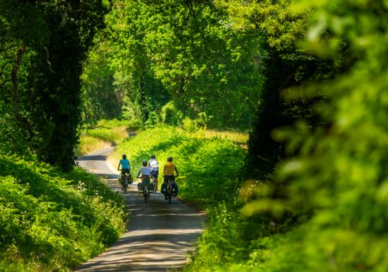 La Vélobuissonnière : La Suze-sur-Sarthe < > La Flèche