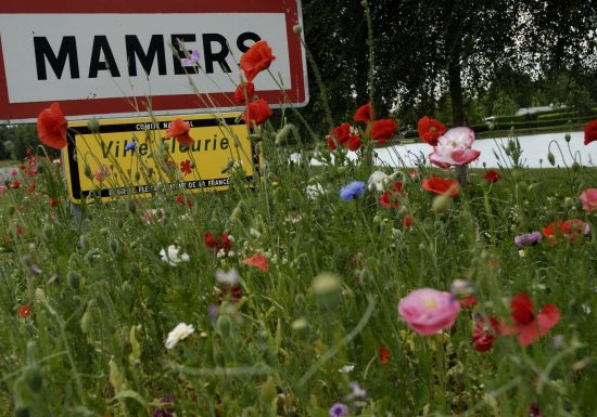 CIRCUIT PEDESTRE “AULNE” – MAMERS