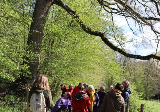 Rando Clim Sentier botanique de Saint Jean de la motte