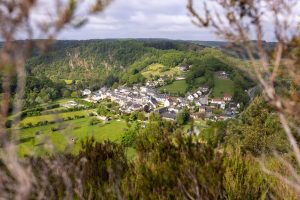 Trail – Le Tour des Alpes Mancelles