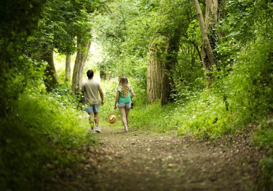 Tour de trompe-souris