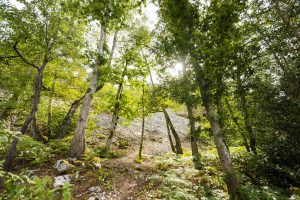 Trail – Les hauteurs de Saint-Léonard-des-Bois
