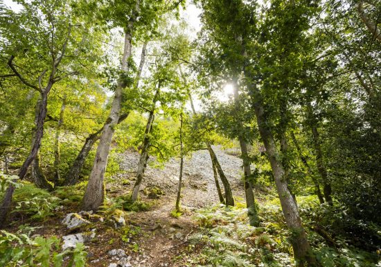 Trail – Le Tour des Alpes Mancelles