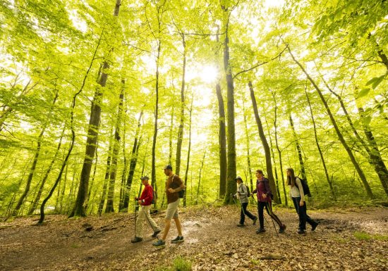 Jupilles – Escapade en forêt de Bercé