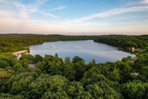 Trail – Circuit de Roche Brune