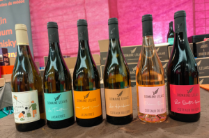 Domaine Lelais dégustation et vente de vin