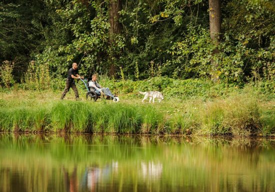 Sled Dog Ride – balade en chiens de traineaux
