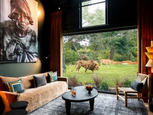 Safari suite – Zoo de la Flèche