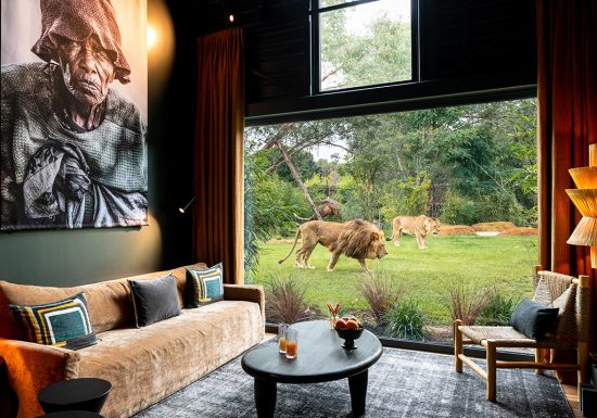 Safari suite – Zoo de la Flèche
