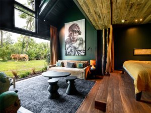 Safari suite – Zoo de la Flèche