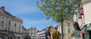 Visites guidées de Sablé-sur-Sarthe