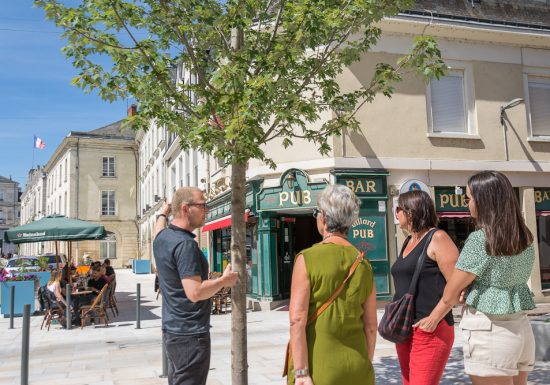 Visithèmes – visites guidées en vallée du Loir