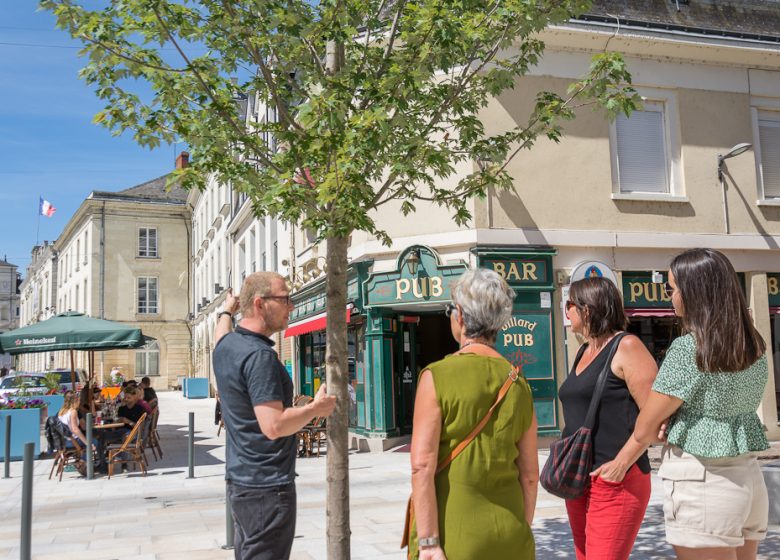 Visithèmes – visites guidées en vallée du Loir