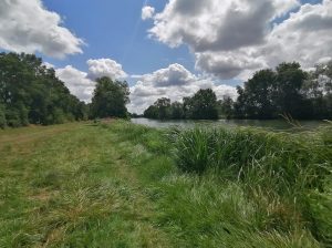 Trail – Entre Loir et Marconne