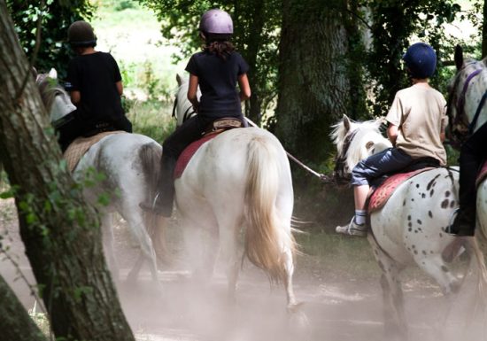 Boucle équestre de Mézeray
