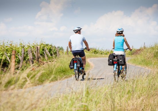Location de vélos adultes et enfants