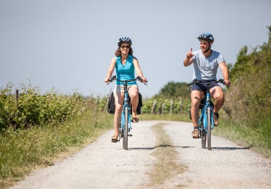 Location de vélos électriques