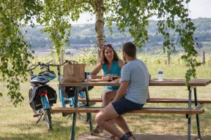 Boucle n°5 : Le vignoble de Jasnières
