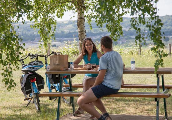 Boucle n°5 : Le vignoble de Jasnières