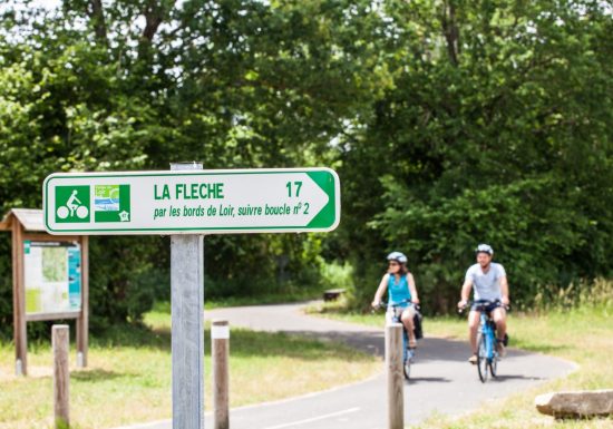 Location de vélos adultes et enfants