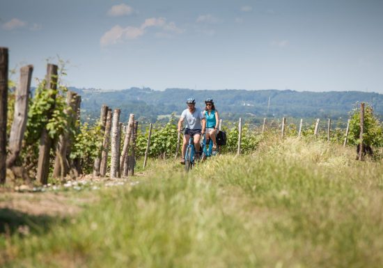 Boucle n°5 : Le vignoble de Jasnières