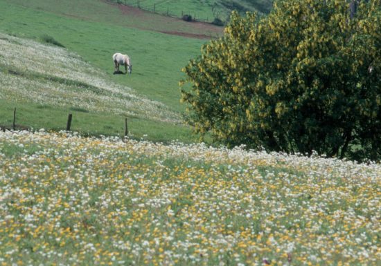 CIRCUIT VOIE VERTE N°2 SAINT LONGIS