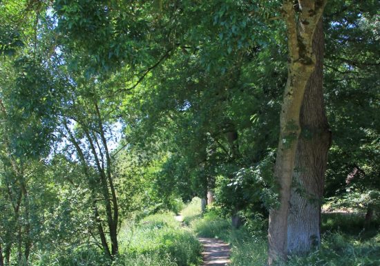 Parc du Château