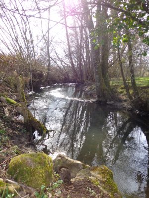 PECHER SUR LE TUSSON