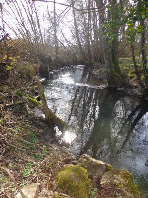PECHER SUR LE TUSSON
