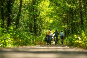 BOUCLE N°19 : ENTRE ETANG ET VILLAGES DE CARACTERE