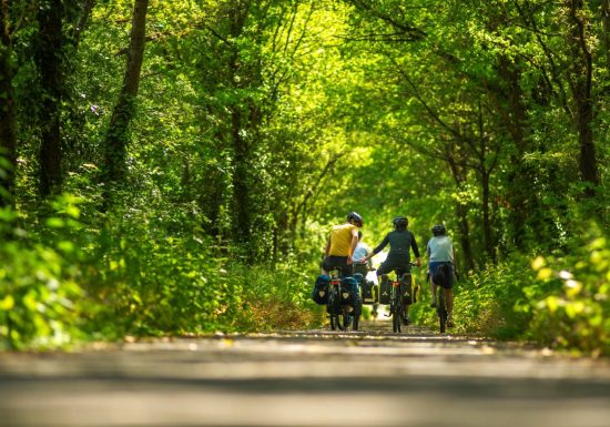 Boucle n°19 : Entre étang et villages de caractère