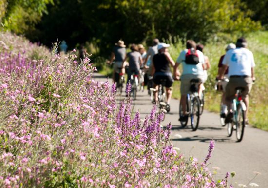 Boucle n°3 : Entre coteaux et troglo