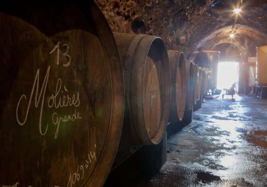 DOMAINE DE LA ROCHE BLEUE