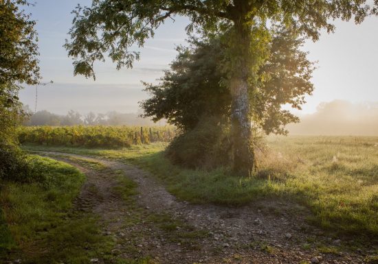 DOMAINE DE LA ROCHE BLEUE