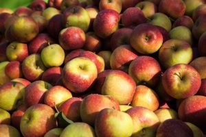 Aire de stationnement à la ferme des Quantières