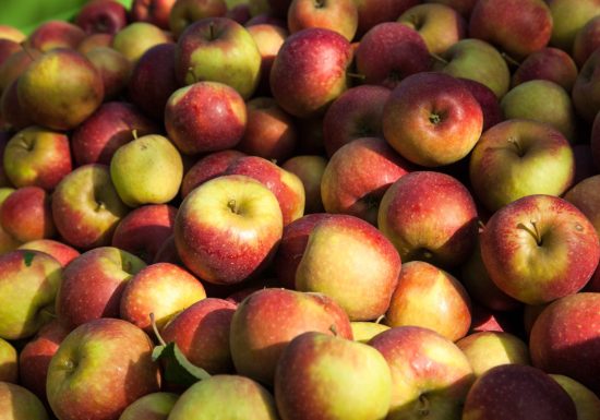 Aire de stationnement à la ferme des Quantières