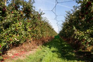 Aire de stationnement à la ferme des Quantières