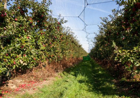 Aire de stationnement à la ferme des Quantières