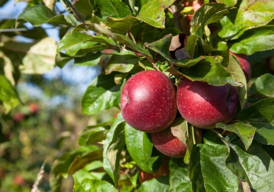 Aire de stationnement à la ferme des Quantières