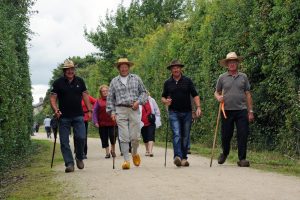 CIRCUIT VOIE VERTE N°1 MAMERS BELLEMARE