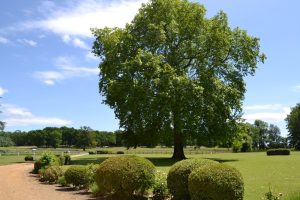 HARAS & SPA DE LA POTARDIERE – CHATEAU HÔTEL DE CHARME