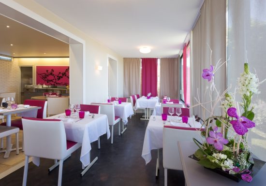 Alizea – hôtel The Original’s Le Mans Nord