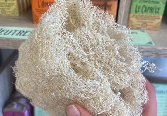 Boutique partagée Lutopia