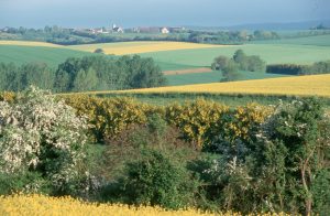 CIRCUIT CYLOTOURISTIQUE MAMERS – SAINT AIGNAN