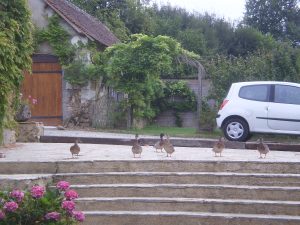 Chambres d’hôtes le Moulin de Monternault