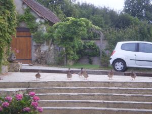 CHAMBRES D’HOTES LE MOULIN DE MONTERNAULT